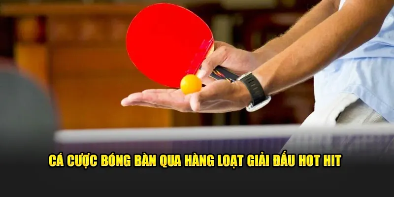 Cá cược bóng bàn đa dạng qua hàng loạt giải đấu hot hit 