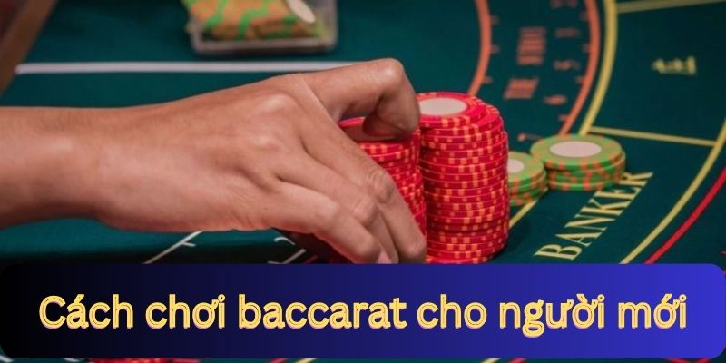 Cách chơi baccarat cho người mới