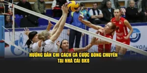 cá cược bóng chuyền