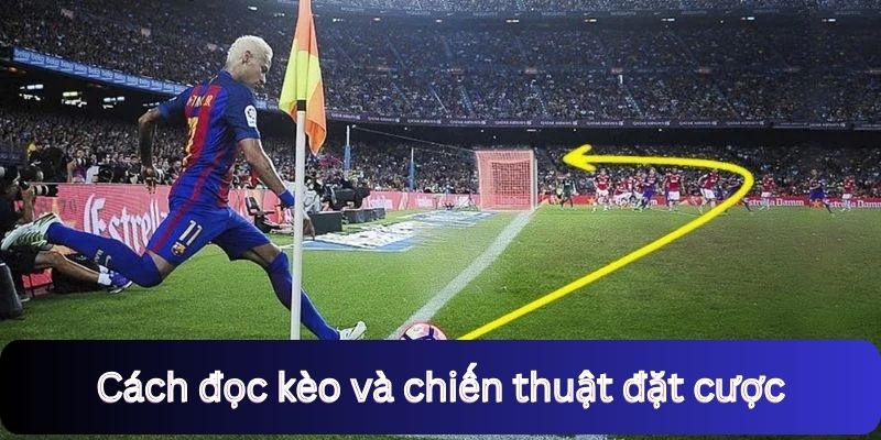 Cách đọc kèo và chiến thuật đặt cược